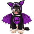 Halloween Bat Dog Costume – Cute Vampire Wing Outfit for Dogs