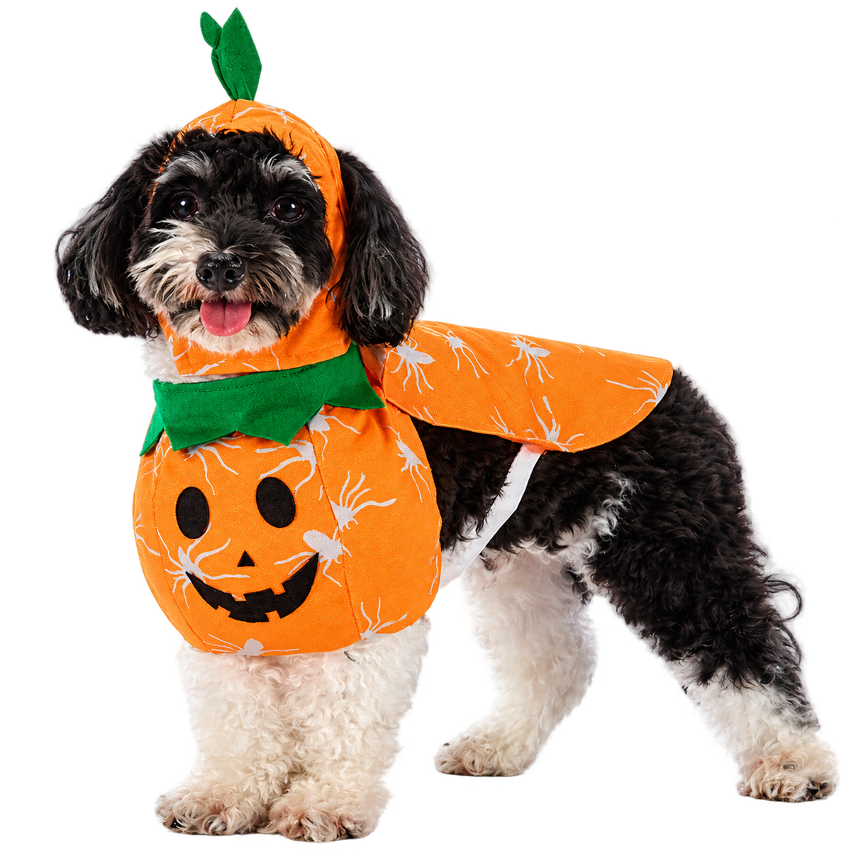 Halloween Pumpkin Dog Costume – Cute Pumpkin Outfit with Hood for Dogs
