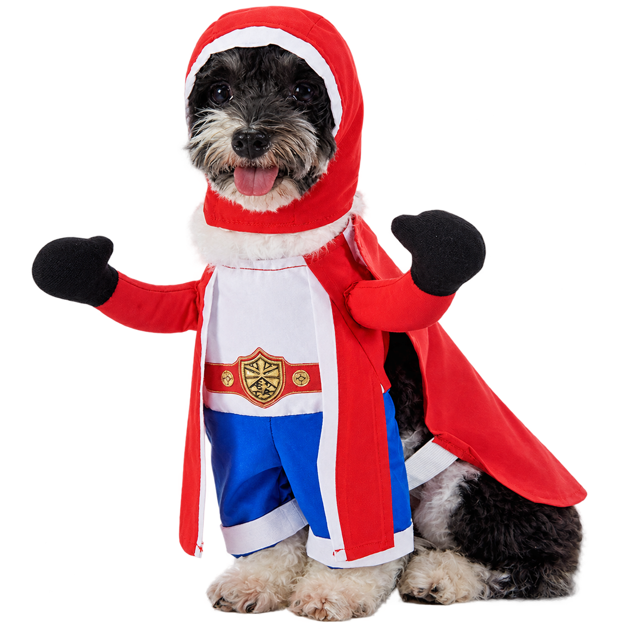 Superhero Dog Costume – Halloween Hero Cape Outfit for Dogs