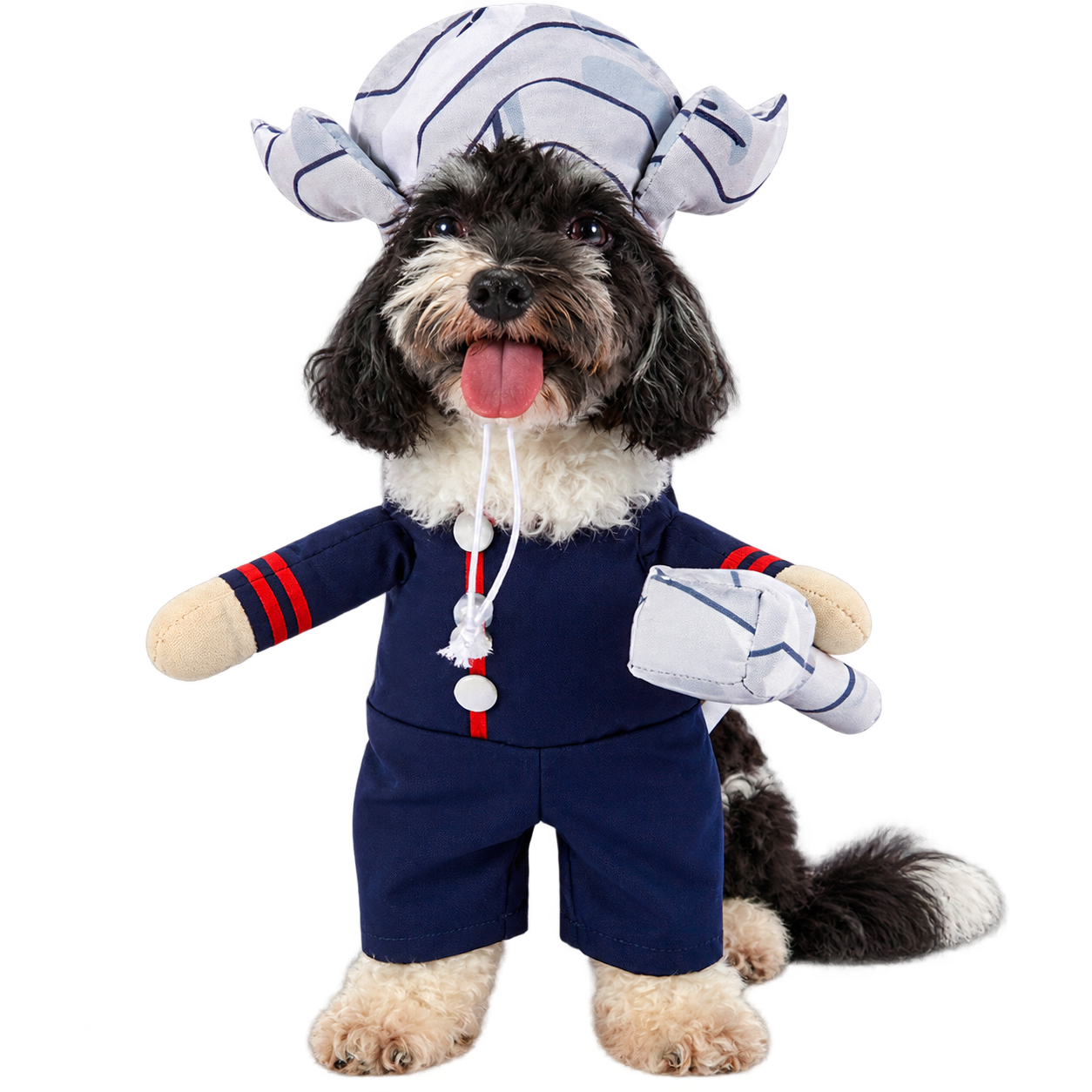 Viking Dog Costume – Funny Warrior Outfit with Helmet for Dogs