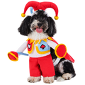 Jester Dog Costume – Funny Court Jester Halloween Outfit for Dogs