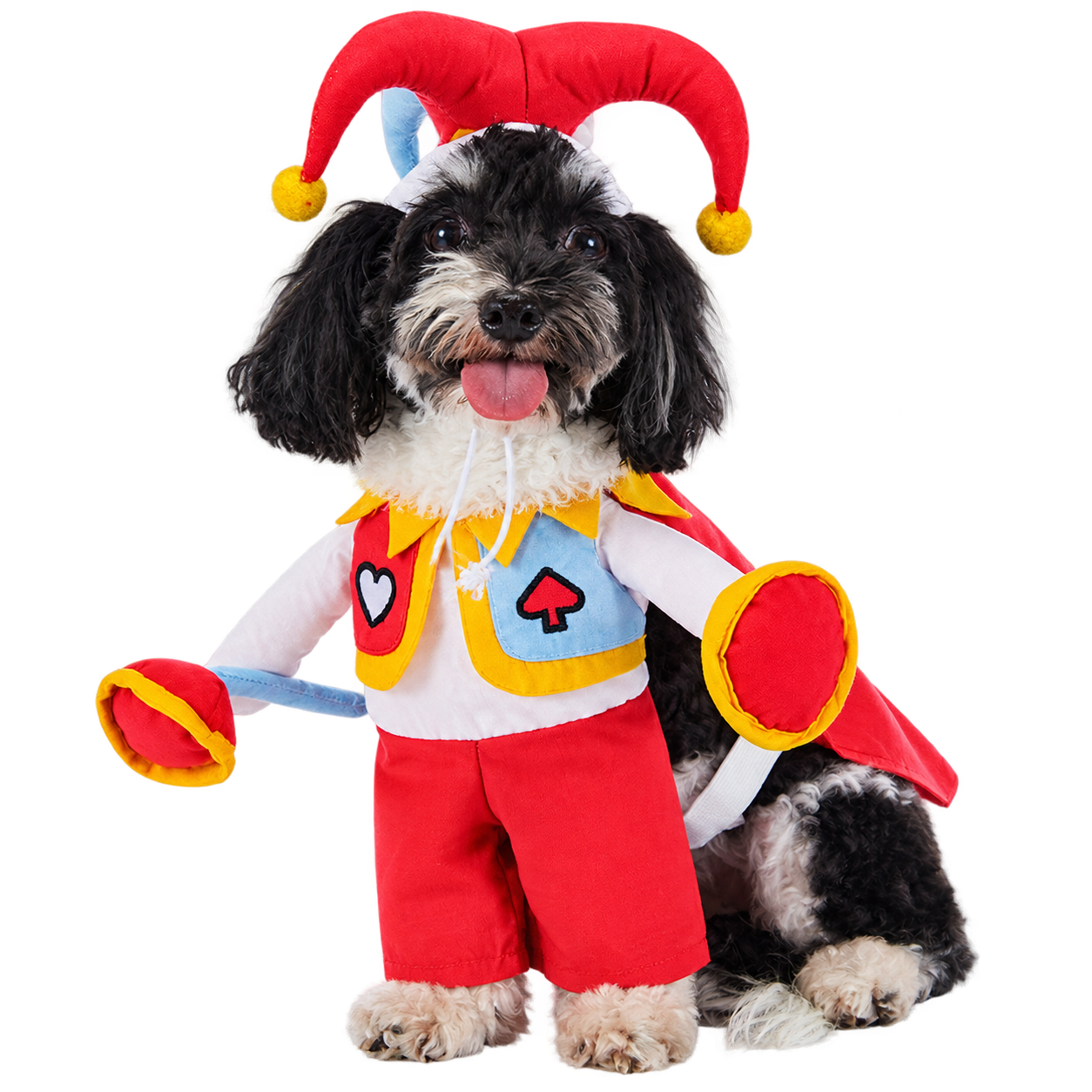 Jester Dog Costume – Funny Court Jester Halloween Outfit for Dogs