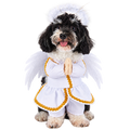 Angel Dog Costume – Cute White Angel Wings Outfit for Dogs