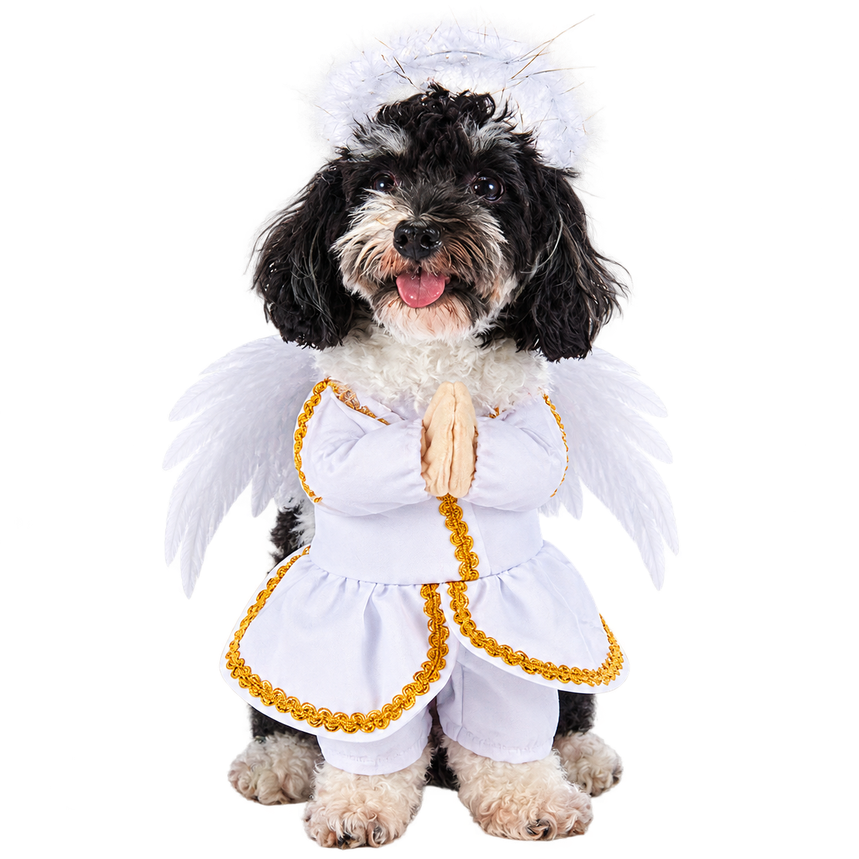 Angel Dog Costume – Cute White Angel Wings Outfit for Dogs