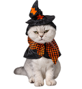Halloween Witch Cat Costume – Cute Wizard Hat & Cape Outfit for Cats