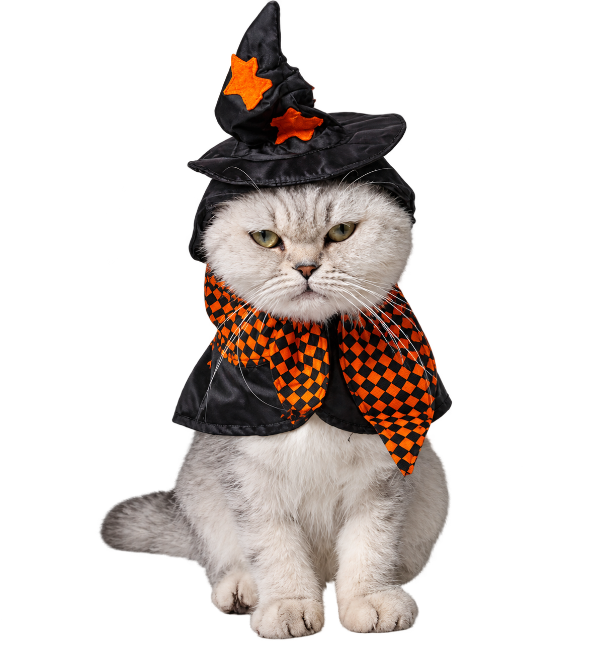 Halloween Witch Cat Costume – Cute Wizard Hat & Cape Outfit for Cats