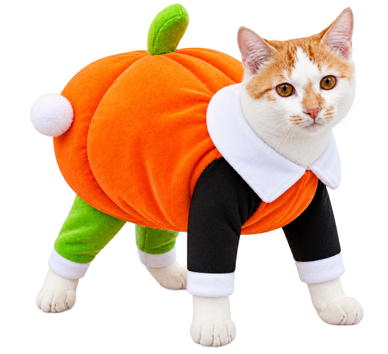 Halloween Pumpkin Costume for Cats – Cute Pumpkin Pet Outfit