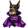 Halloween Vampire Dog Costume – Gothic Dracula Cape & Monster Mask Outfit for Dogs
