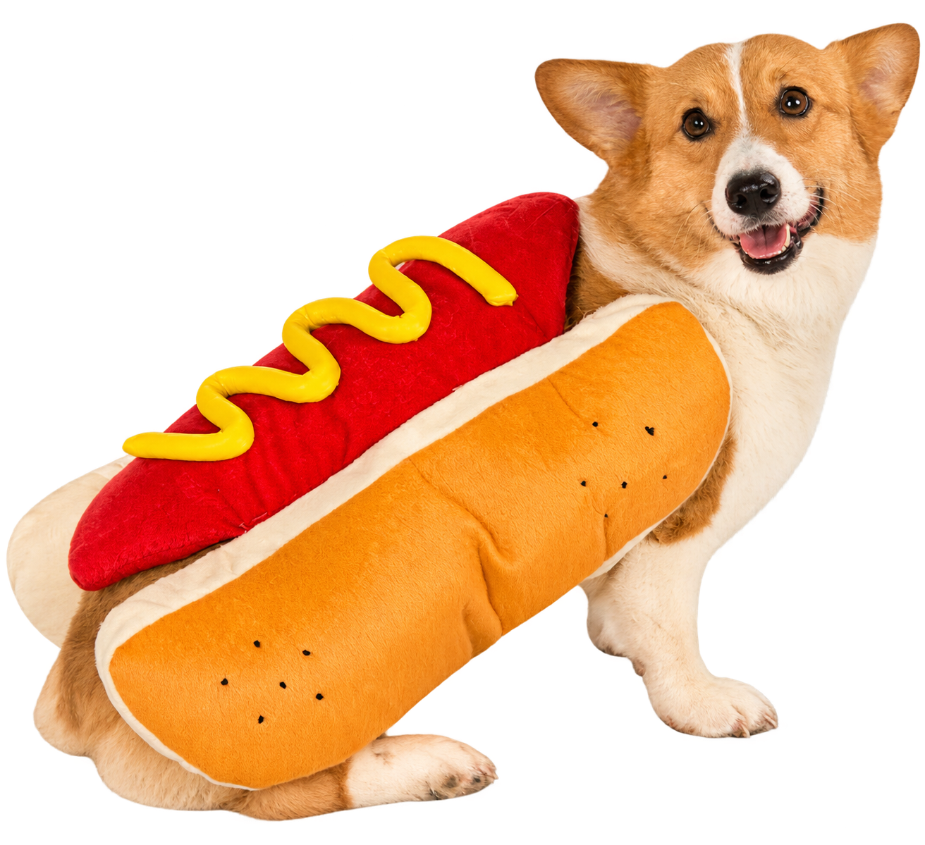 Halloween Hot Dog Costume for Dogs – Funny Sausage Pet Outfit