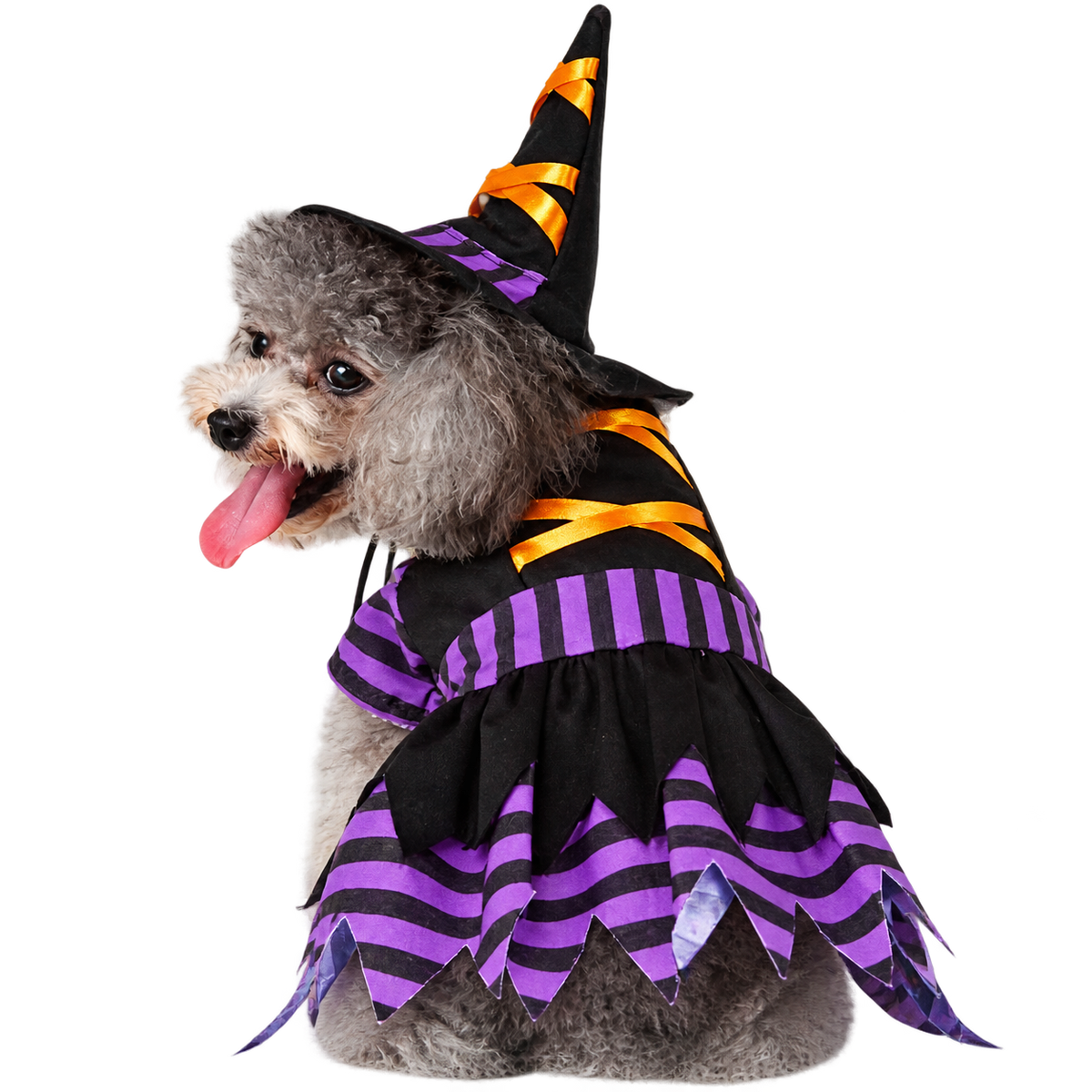 Halloween Witch Cat Costume – Purple & Black Witch Dress with Hat for Cats