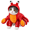 Halloween Alien Cat Costume – Red Space Monster Outfit for Cats