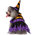 Witch Dog Costume – Halloween Wizard Dress for Dogs